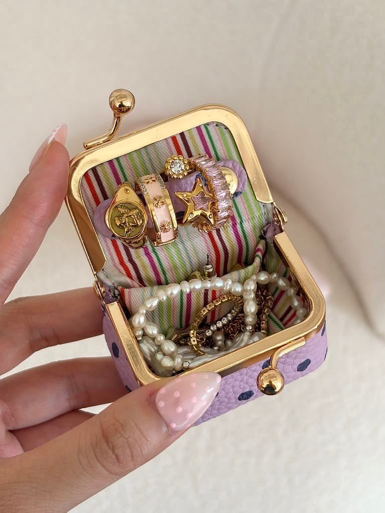 Pinteresty Polka dot mini jewelry case