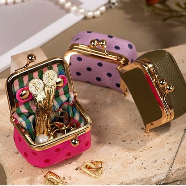 Pinteresty Polka dot mini jewelry case